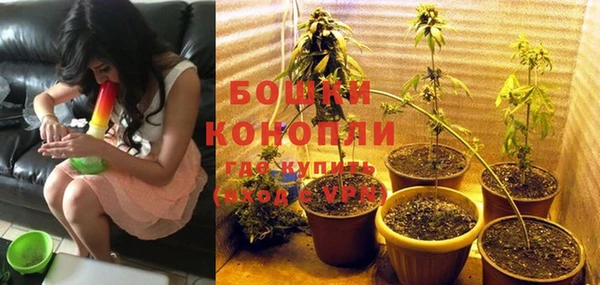 гидра Бронницы