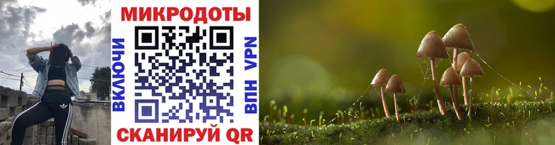 Псилоцибиновые грибы прущие грибы  Купить закладки  Плавск 